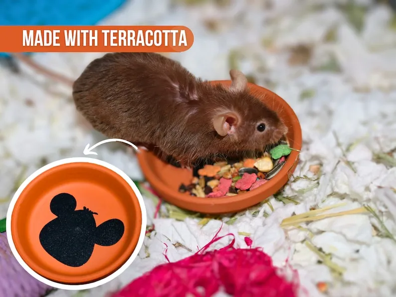 Pet Mouse Food Dish For Mice