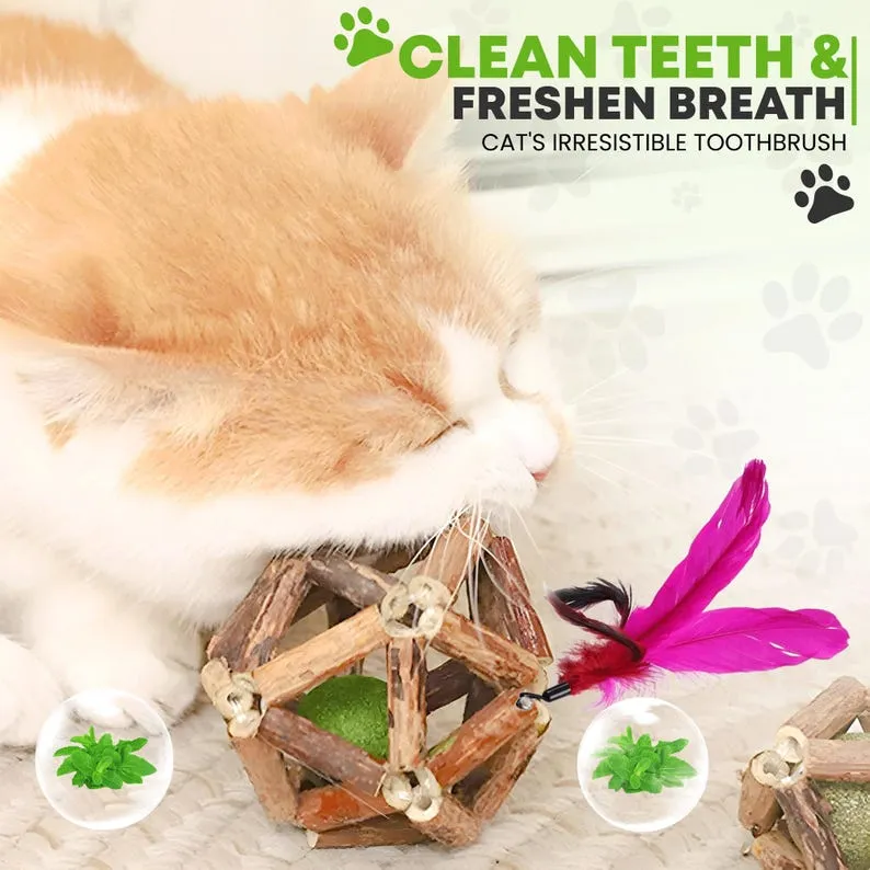 Silvervine Catnip Ball with Feather & Bell: Indoor Cat Chew Toy - Image 2