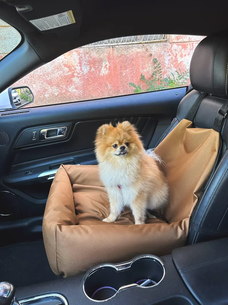Cozy car seat for your pet, pet car seat