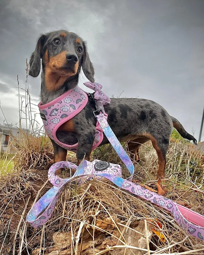 Dreamy Unicorn Reversible Harness - Image 2