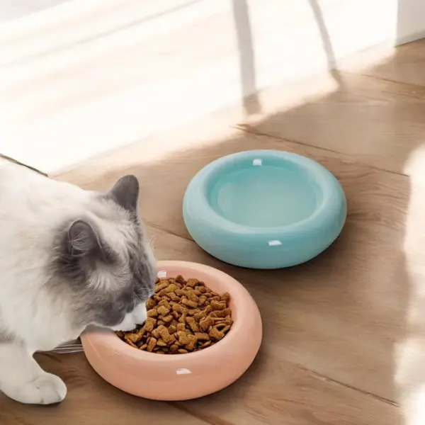 Pet Bowl, Round Cat Bowl, Cat Dish, Kitten Bowl, Cat Water Dish, Ceramic Pet Bowl, Puppy Bowl, Pottery Pet Bowl,Pottery Kitten Bowl