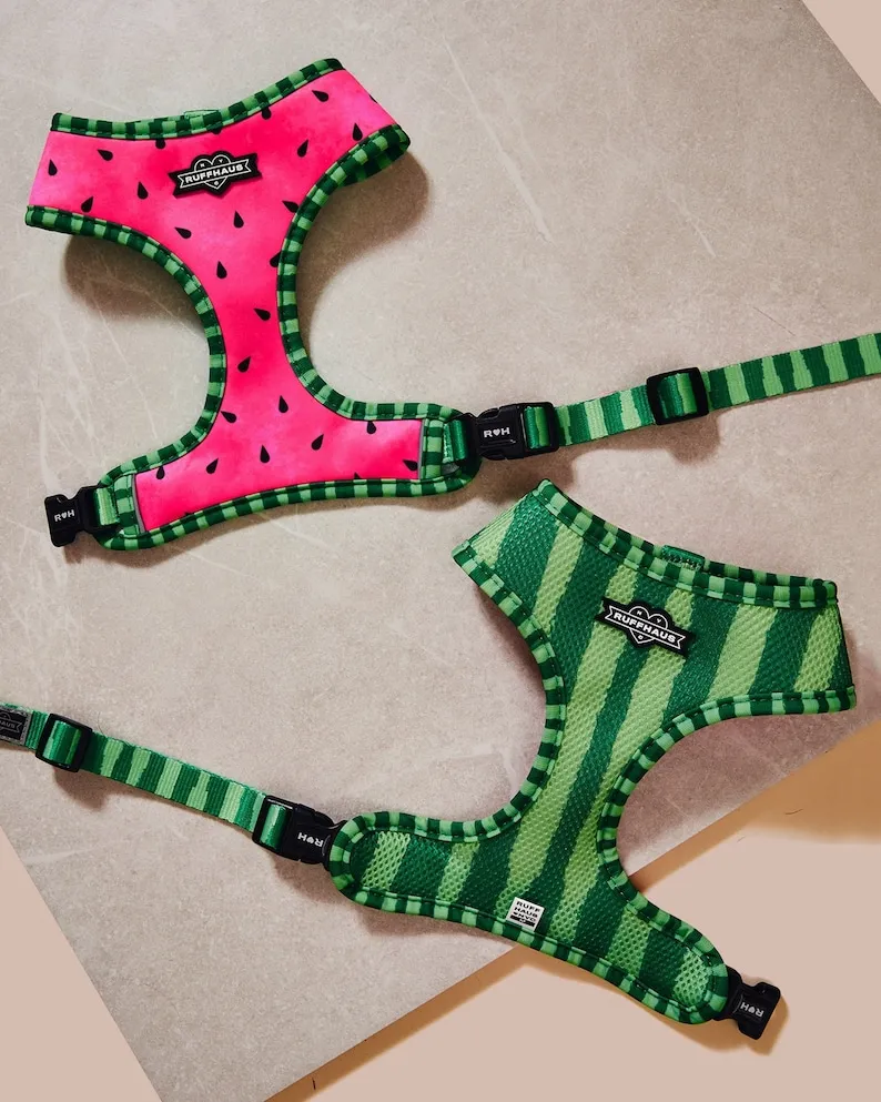 Watermelon Reversible Dog Harness