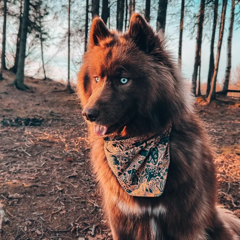 Woodland Animals Dog Bandana