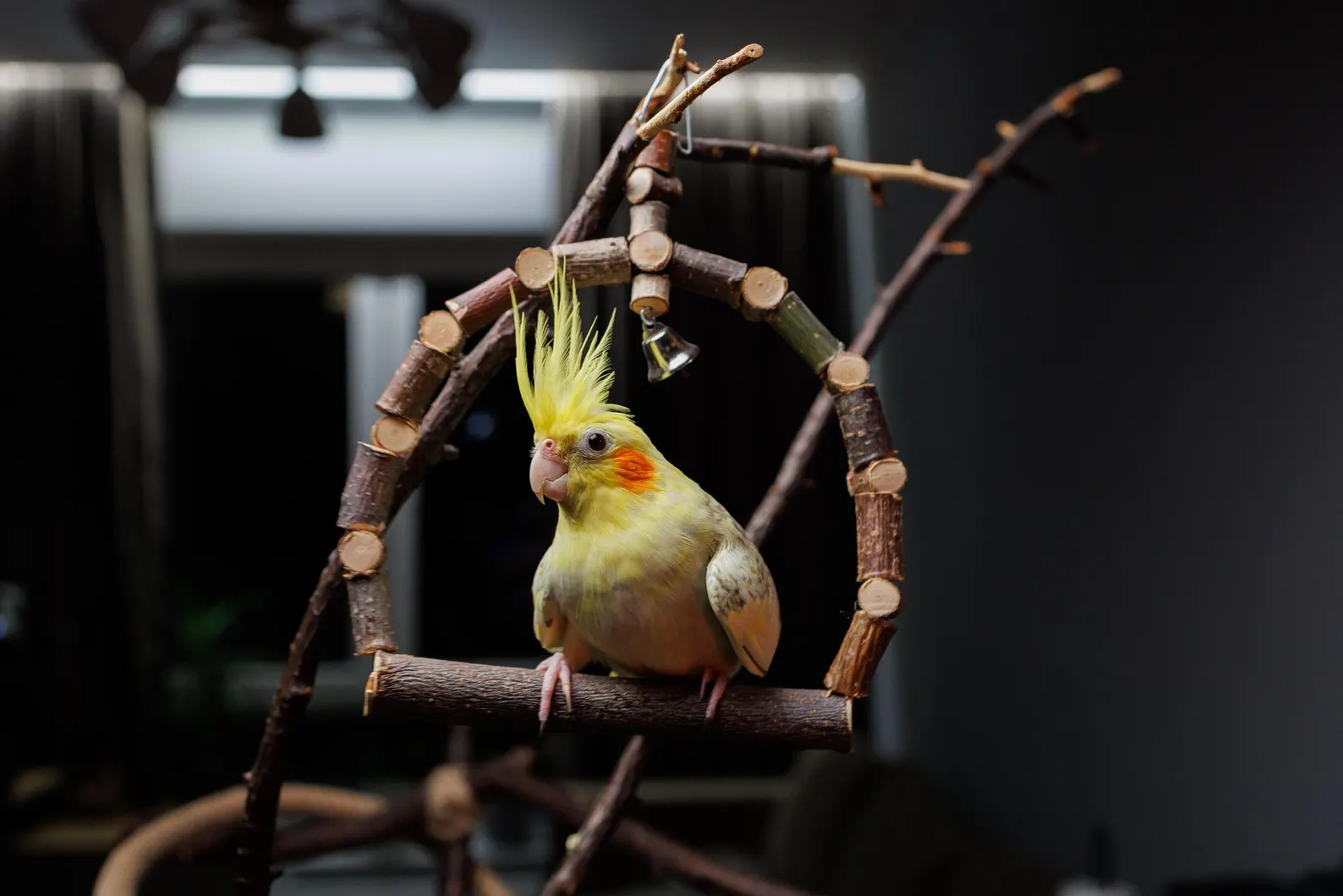 Hanging Parrot Chew Toy Swings / Birdcage Supplies